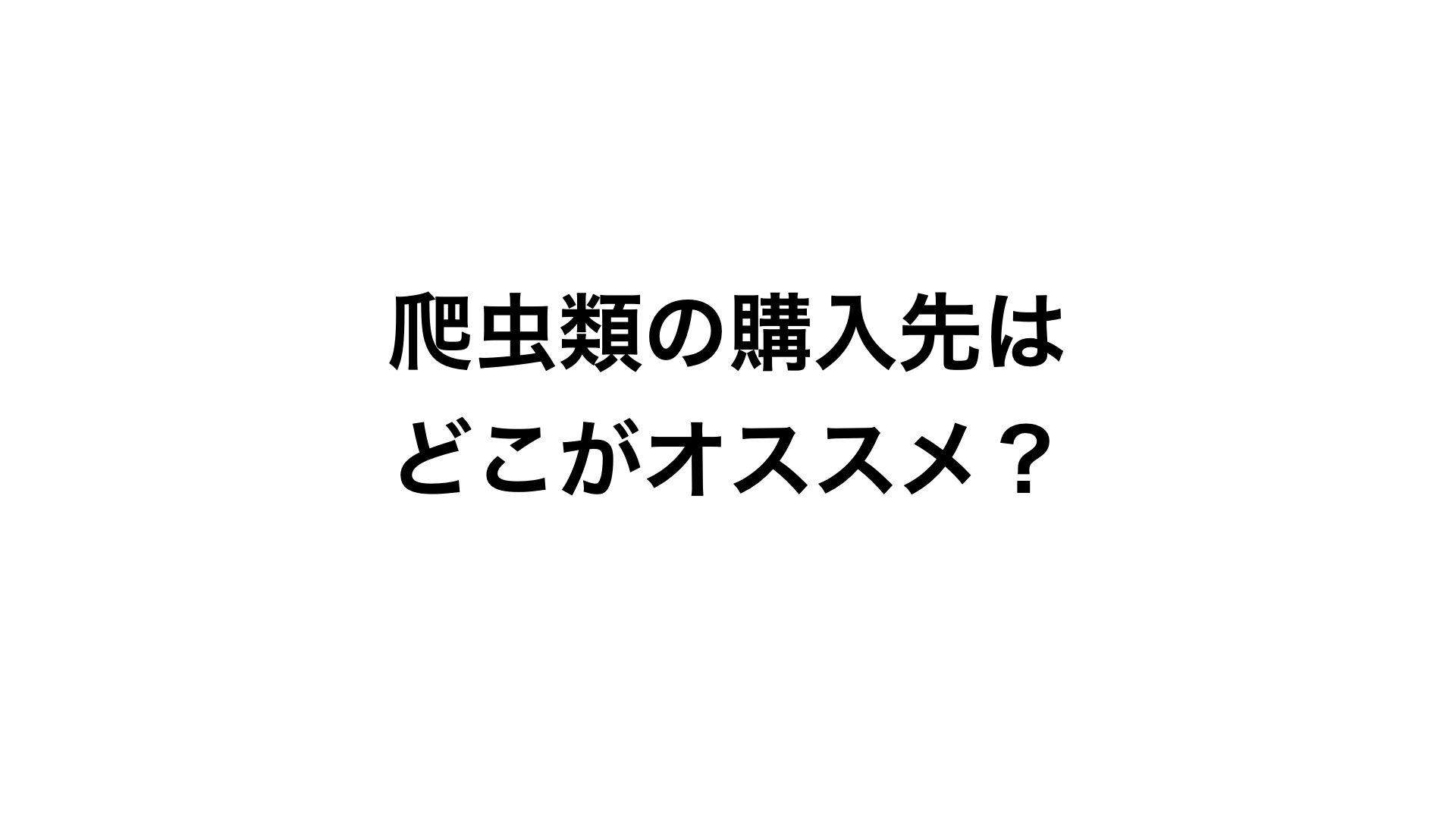 爬虫類はイベントで買うべき ショップで買うべき それともホームセンター 爬虫類飼育者がメリットデメリットを答えます You Reptiles Com 爬虫類はイベントで買うべき ショップで買うべき それともホームセンター 爬虫類飼育者がメリットデメリットを答えます You Reptiles Com