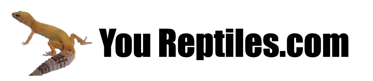 You Reptiles.com